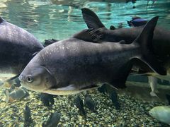 -成都浩海立方海洋公园