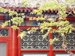 -元大都城垣遗址公园