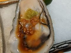 法国生蚝-萤初高端日料王(曲江银泰店)