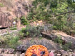 -广州白江湖森林公园