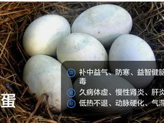 -武汉世外桃源农庄