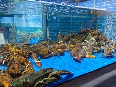 -徐记海鲜·宴会(大唐西市|丰庆店)
