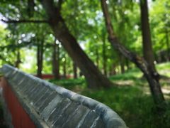 -阳台山自然风景区