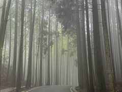 -山王坪喀斯特国家生态公园