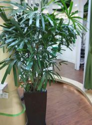 -艺米阳光Hair Salon