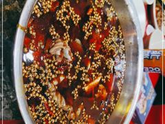 -蜀大侠火锅(森兰花园城店)