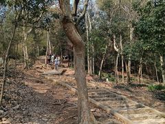 -上海佘山国家森林公园天马山园