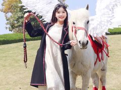 -上海佘山世茂艾美酒店