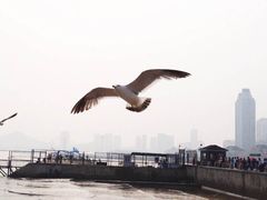 -星海广场
