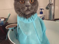 -惠康宠物医院(华能路店)