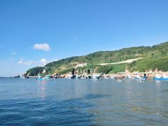 -原味蒸汽海鲜(嵊泗店)