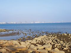 -深圳湾公园(南山区)