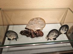 -合浦汉代文化博物馆