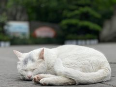 -成都杜甫草堂博物馆