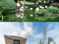 -香港皇家太平洋酒店