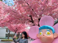 -东莞松山湖万象汇