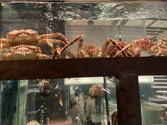 -官也街澳门火锅(新源里店)
