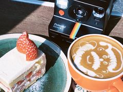 -SAFARI COFFEE