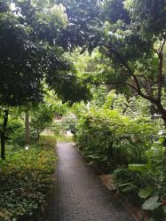 点击看大图 -宝生月子中心(独栋园林·福田店)