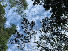 -南京市无想山景区