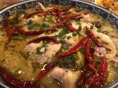 酸汤鱼-梦田音乐miniLIVE(漳州店)
