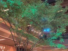 -瑞虹新天地月亮湾
