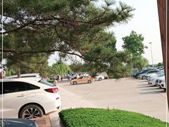 -太阳部落