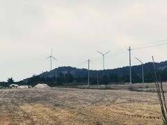 -汕尾风车岛