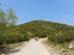 -北京西山国家森林公园