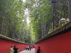 -蜀九香火锅(彩虹店)
