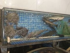 -百姓食府(秦虹路店)