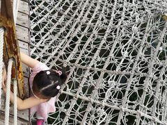 -呀路古热带植物园
