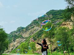-白河湾生态旅游一条川
