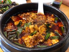 -陈麻婆豆腐总店