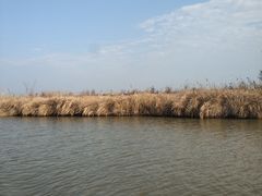 -漩门湾国家湿地公园