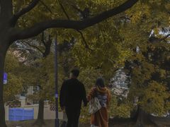 -八大关景区