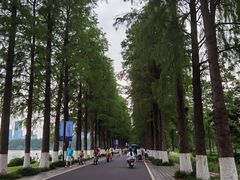 -东湖磨山景区