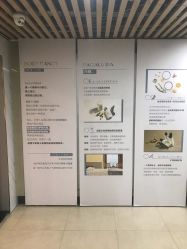 -Fancy梵汐·轻奢量肤定制
