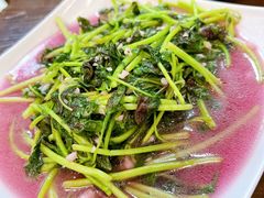 苋菜-谢大牛馆·中式卤牛排(老店)