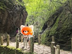 -牛背梁国家森林公园