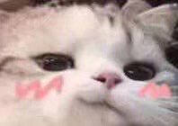 -肯德基(颛桥店)