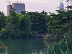 -海珠湖公园