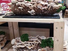 野生树头香菇-为什么牛潮汕牛肉火锅(万胜广场店)
