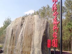 -合肥滨湖国家森林公园