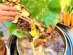 -大理董·董家小厨野生菌火锅(古城旗舰店)
