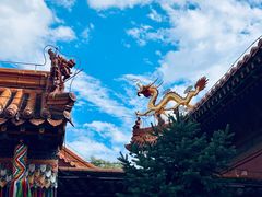 -大召无量寺