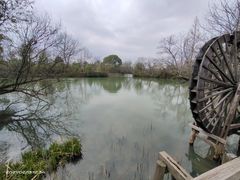 -西溪国家湿地公园