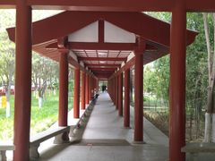 -莲湖公园