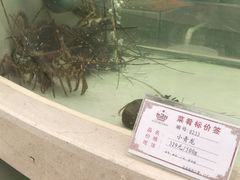 -苏州吴中白金汉爵大酒店