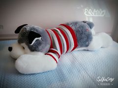 -PAWTOY爪e玩偶店(天兴罗斯福店)